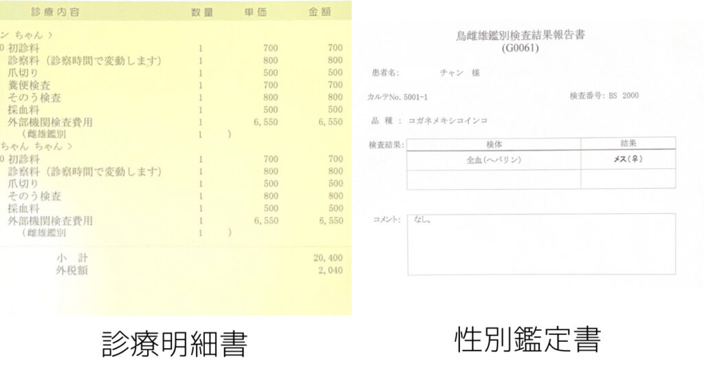 動物病院で実際にかかった費用