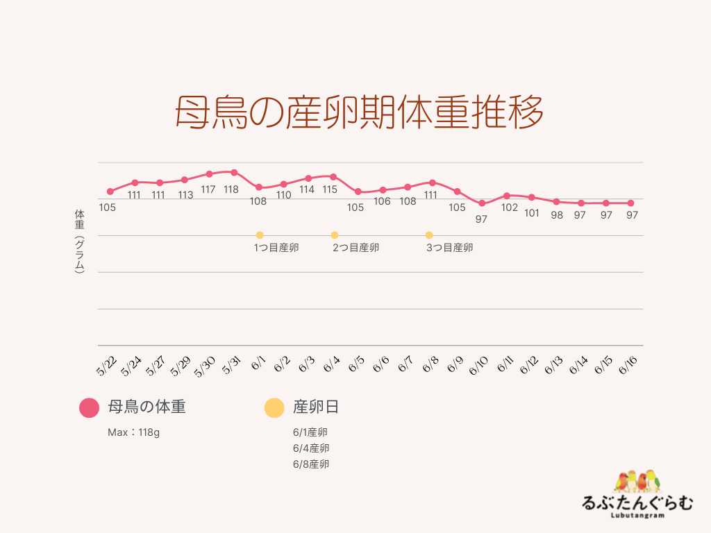 産卵期の母鳥の体重推移