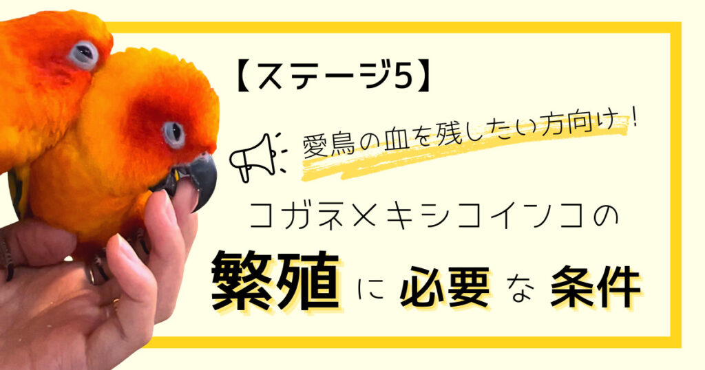 愛鳥の血を残したい！繁殖に必要な条件