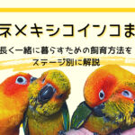 【コガネメキシコインコまとめ】長く一緒に暮らすための飼育方法をステージ別に解説