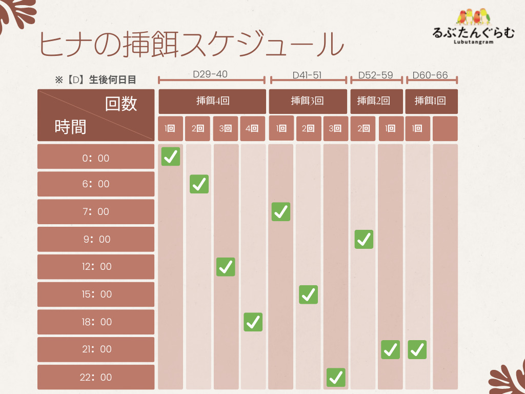 巣上げしたヒナの挿餌スケジュール